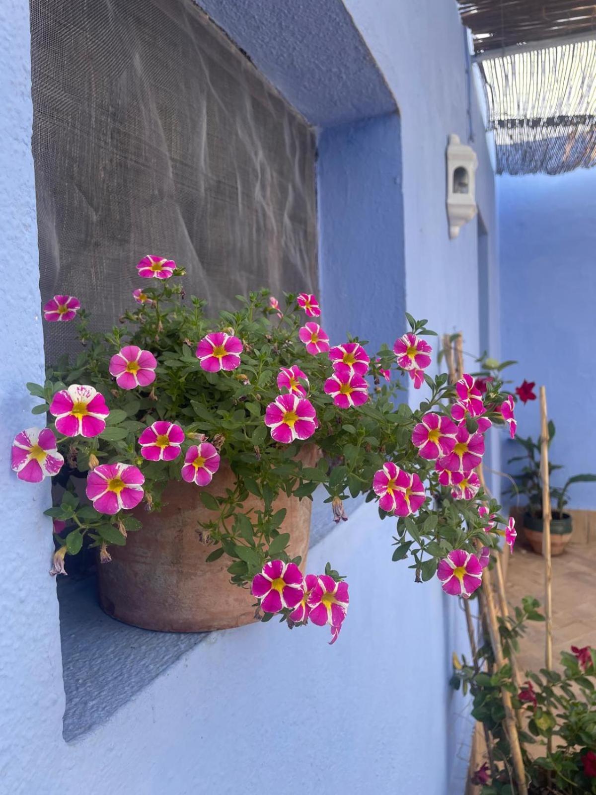 Cortijo Las Gallardas En Almeria Los Gallardos Buitenkant foto
